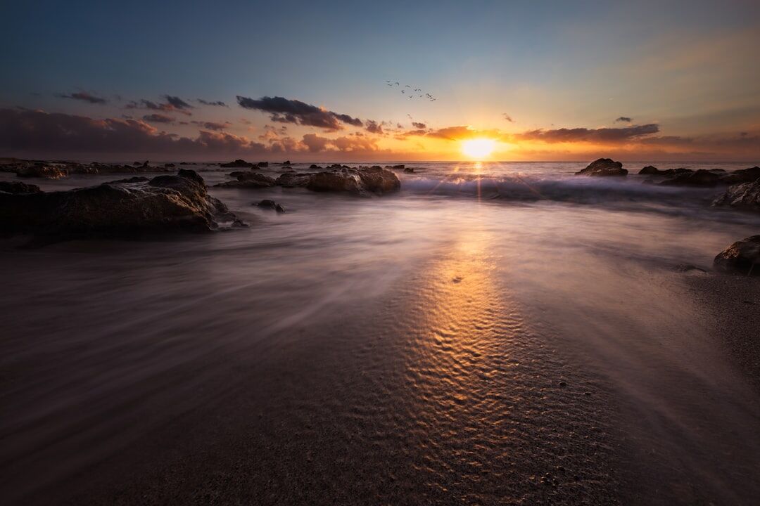 sunset reunion